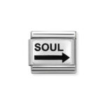 Moduł do bransoletki COMPOSABLE - 330208/22 Bratnie dusze 1/2 Silver