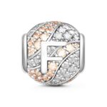 Charms Letter F with Special Meaning for Special Person BQCS21